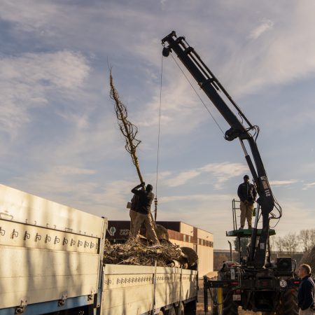 if-plants-clients-centrale-de-achat if-plants-clients-centrale-de-achat