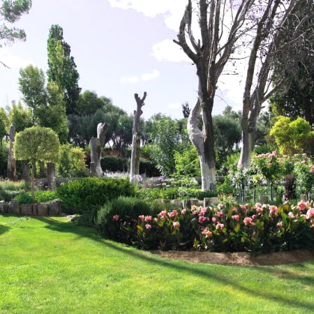 if-plants-clients-espaces-verts-450x450-2 if-plants-clients-espaces-verts-450x450-2