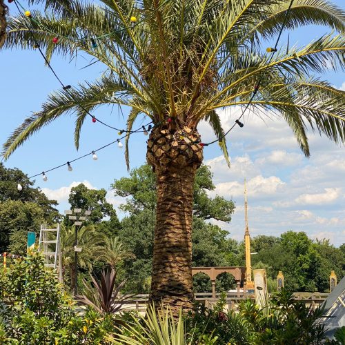 ifplants_projects_moon knight (4)