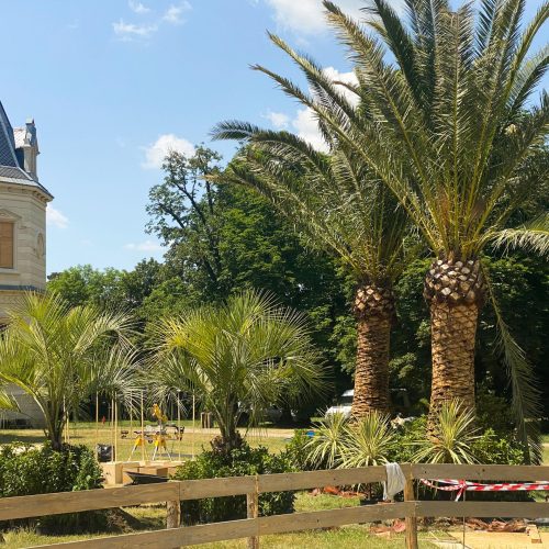 ifplants_projects_moon knight (6)